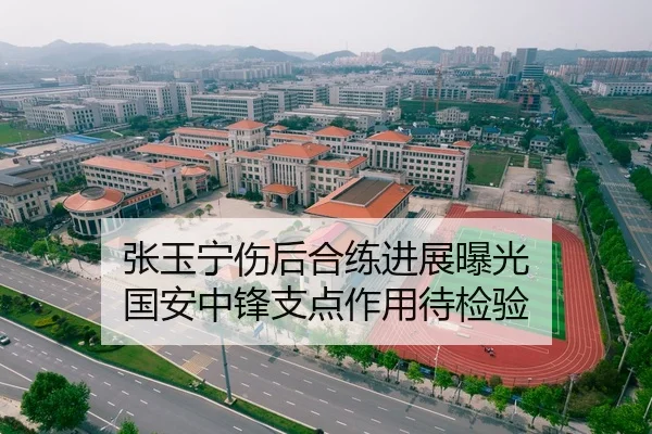 张玉宁伤后合练进展曝光 国安中锋支点作用待检验