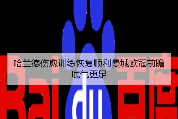哈兰德伤愈训练恢复顺利曼城欧冠前瞻底气更足